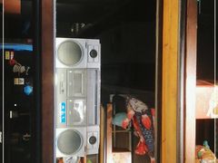 -探鱼·鲜青椒爽麻烤鱼(广州欣荣广场店)
