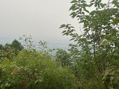 -北京西山国家森林公园