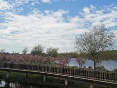 -羊亭河湿地公园