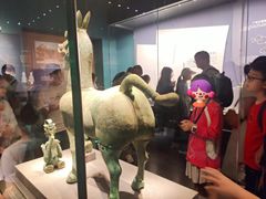 -广西壮族自治区博物馆