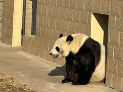 -石家庄市动物园