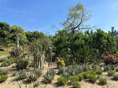-东莞植物园
