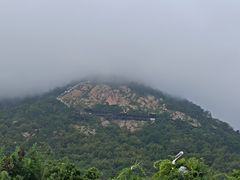 -石老人观光园