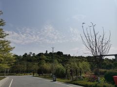 -飞凤山奥体公园