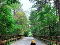 -棋盘山风景区