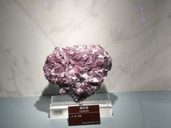 -甘肃地质博物馆