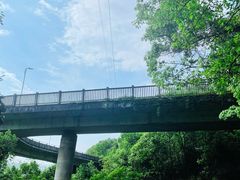 -南山植物园