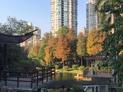 -晓港公园