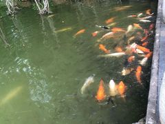 -珠海圆明新园