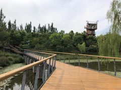 -东郊湿地公园