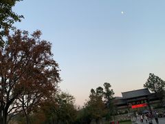 -黄陂区野村谷景区