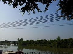 -大湾区中央湿地公园