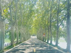 -东湖宾馆-中餐厅