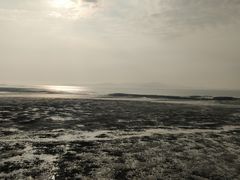 -50嵐鲜茶专卖连锁店(金城镇店)