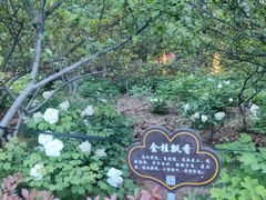 -洛阳市隋唐城遗址植物园