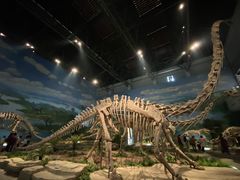 -自贡恐龙博物馆
