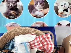 -lincat·猫舍(广州店)