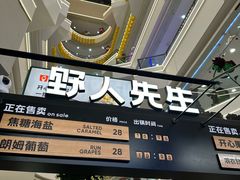 -野人先生Gelato(上海长宁龙之梦店)