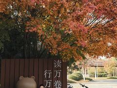 -昆山城市生态森林公园