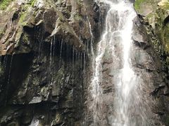 -藏龙百瀑风景区