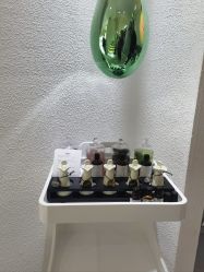 -薇薇安花系SPA