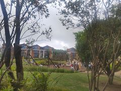 -铁山坪森林公园