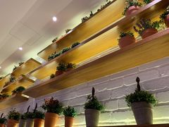 -翠華餐廳(浦东机场T1店)