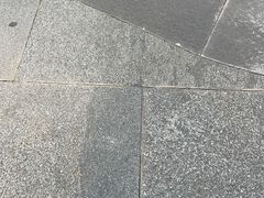 -百姓渔村(南中环店)