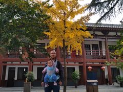 -西安青龙寺遗址景区