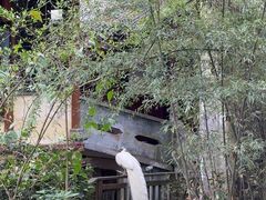 -都江堰普照寺