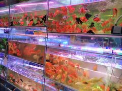 -双季花艺园艺市场(浦东店)