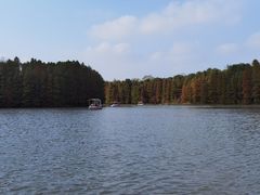 -上海海湾国家森林公园