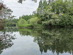 -东平国家森林公园