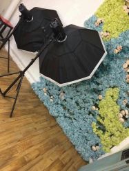 -星豆豆儿童摄影(南郊太白南路店)