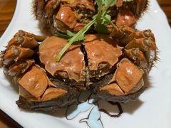 -呼吸森林·生态农庄农家乐私房菜