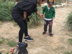 -北京麋鹿生态实验中心