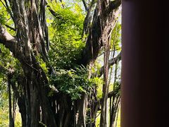 -四海公园(南山区)