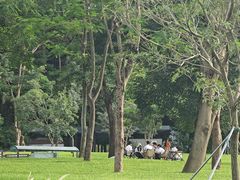 -阳台山森林公园