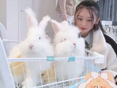 -怪兽屋·羊驼·猫咖·狗咖(俊华广场店)