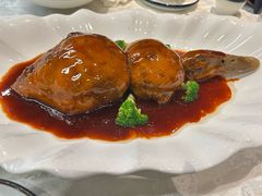 -丁老爷子苏香圆