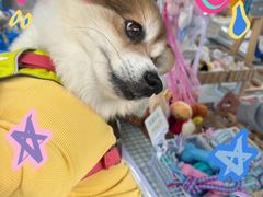 -小意思咖啡店(草桥店)