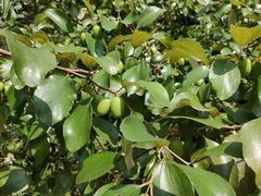 -中国移动南方基地