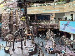 -安徽省地质博物馆