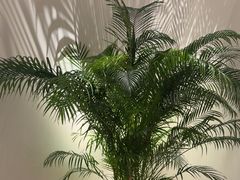 -YCHL FIT 健身(星寰店)