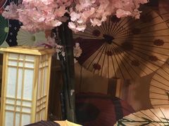 -豆柴町-柴犬主题狗咖(红鼎国际C座店)