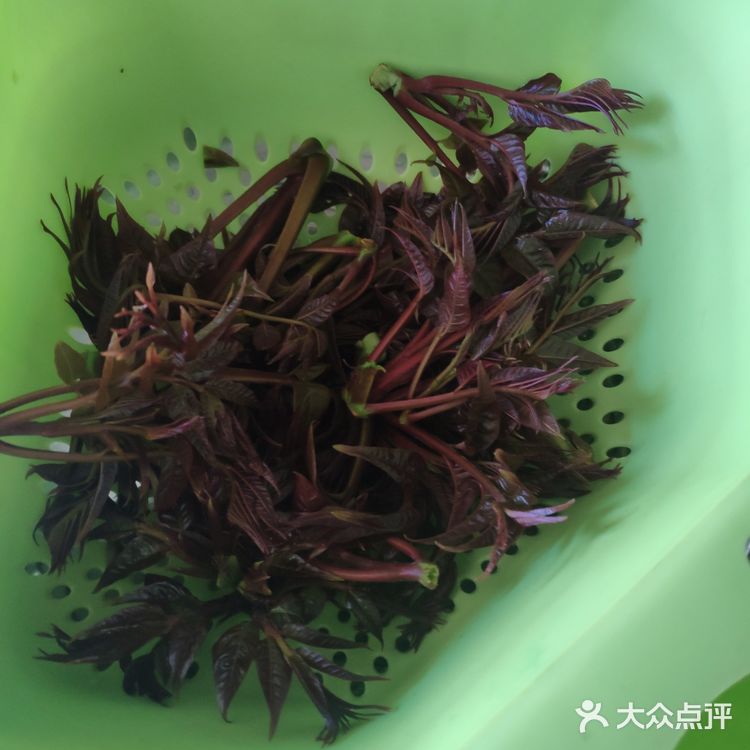 炸香椿鱼儿2020年第一口春的味道。馋死了