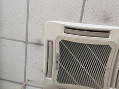 -华莱士·全鸡汉堡(坂田店)