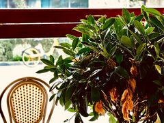 -ZAZA.CAFE.BAR