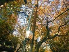 -常熟路(地铁站)