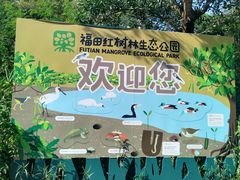 -福田红树林生态公园